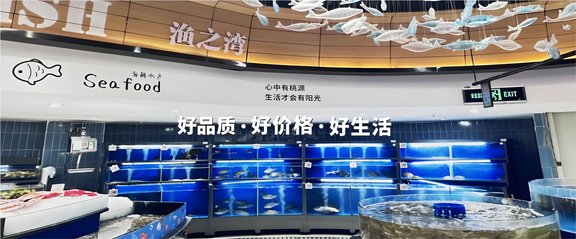 首頁